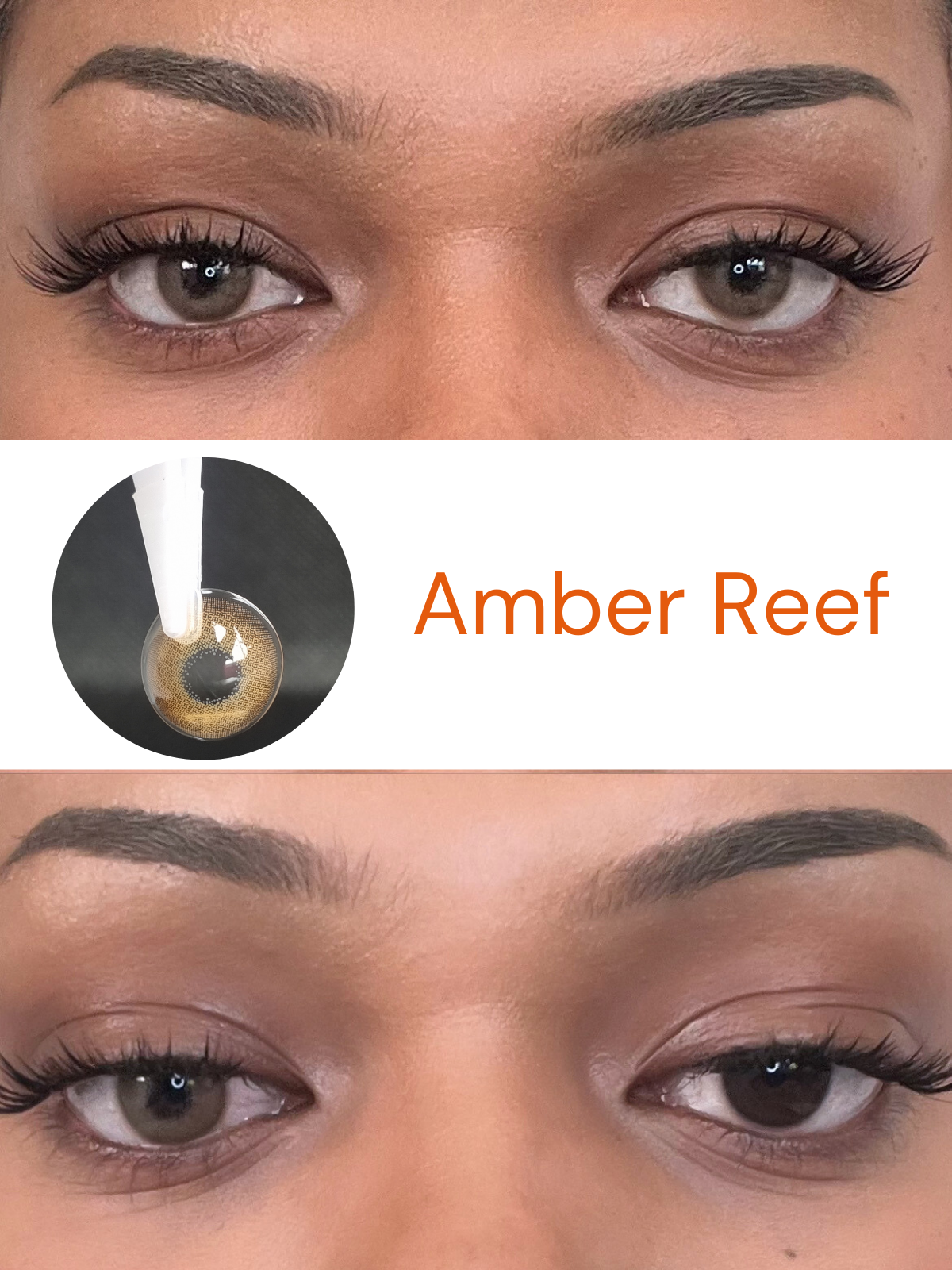 Amber Reef